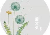 讚美人的詞語|100句夸女孩子的話，教你怎麼夸女生？